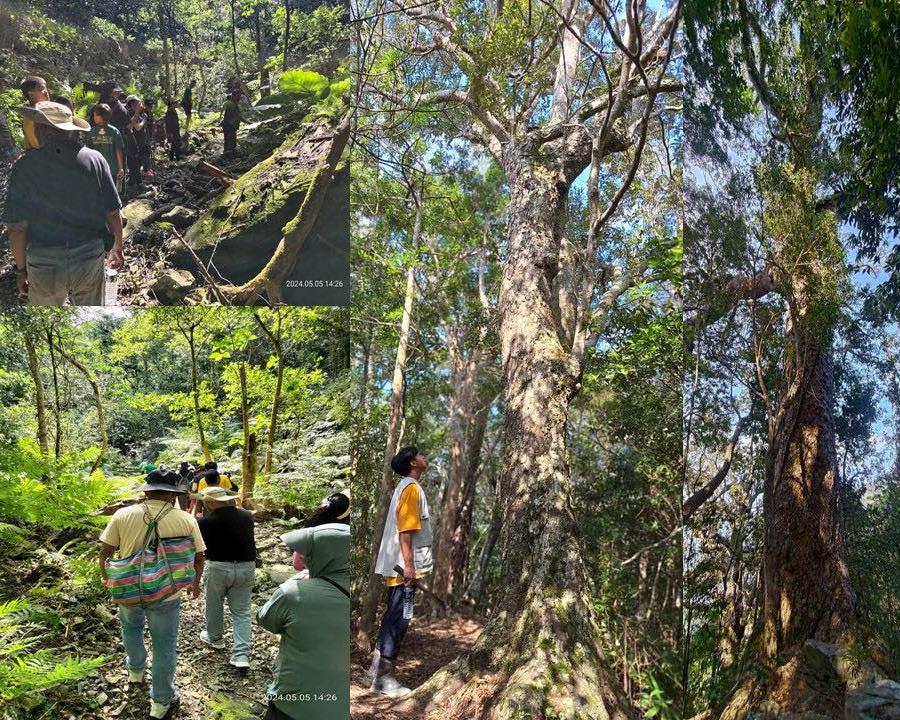 社會經濟入口網