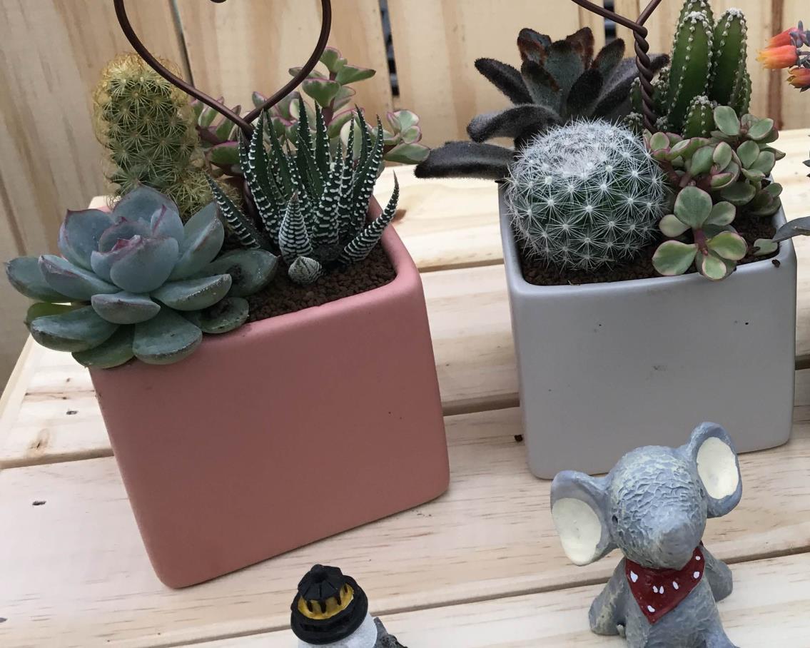 社會經濟入口網