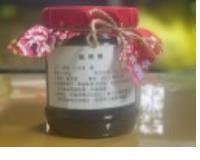 社會經濟入口網