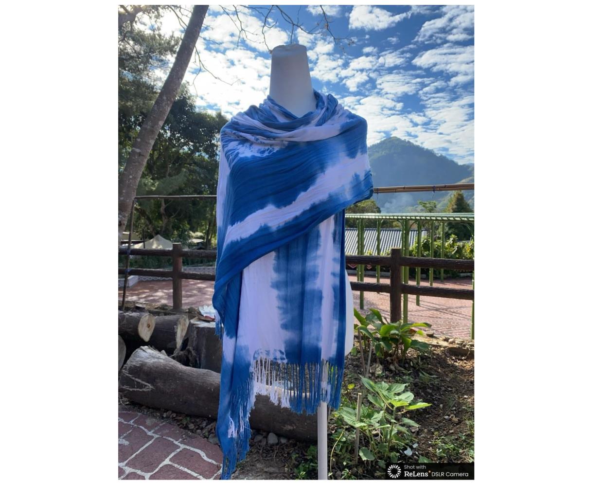 社會經濟入口網