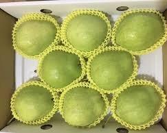 社會經濟入口網