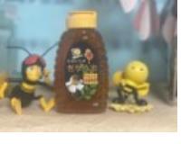 社會經濟入口網