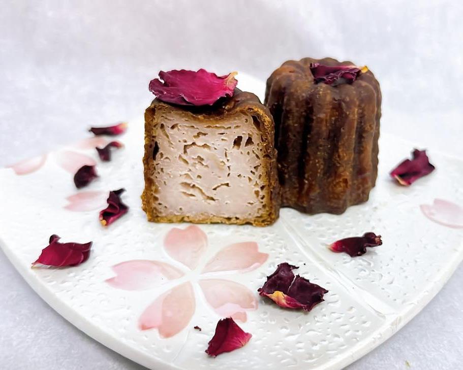 社會經濟入口網