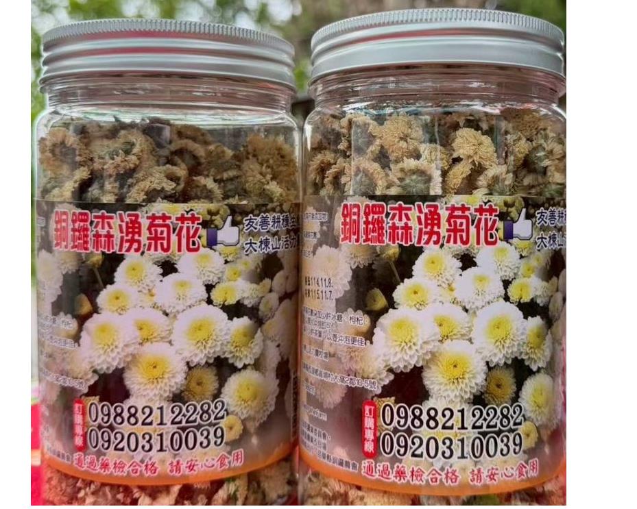 社會經濟入口網