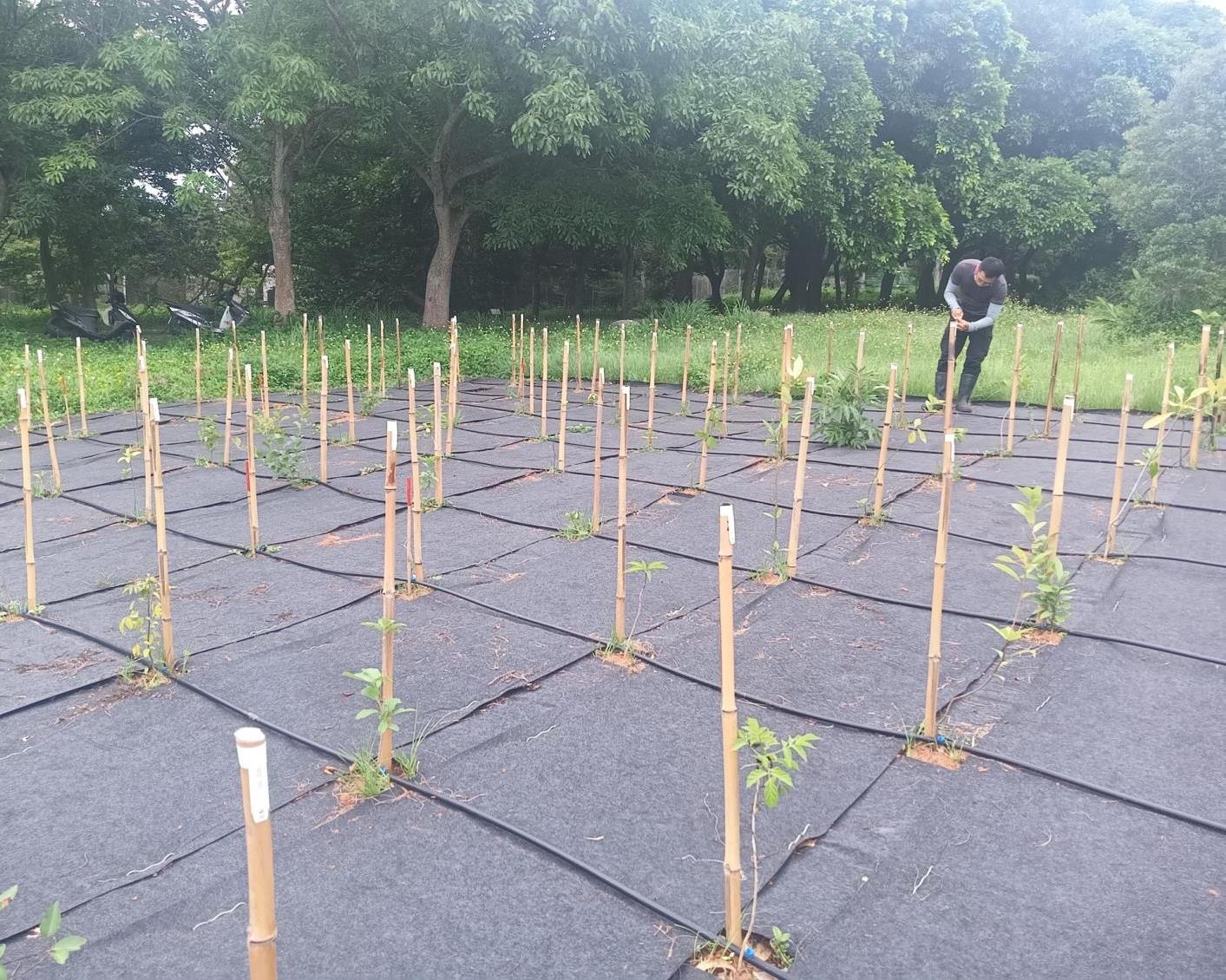社會經濟入口網